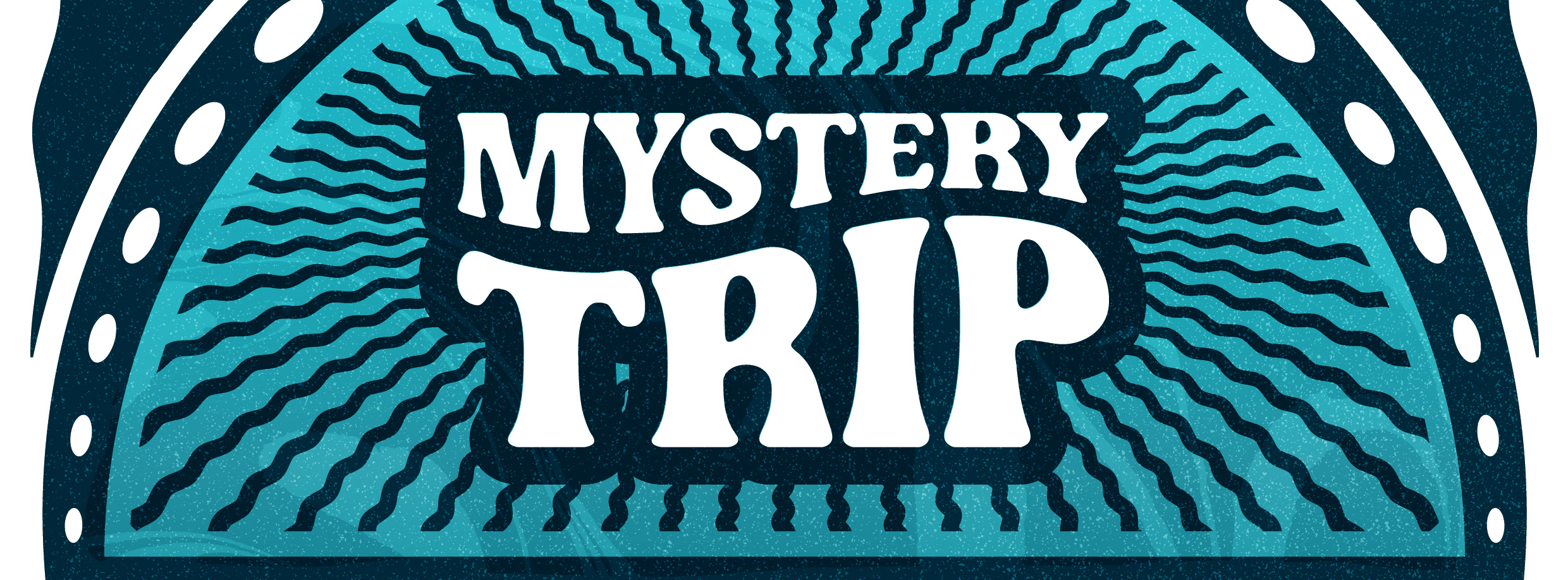 MYSTERY TRIP